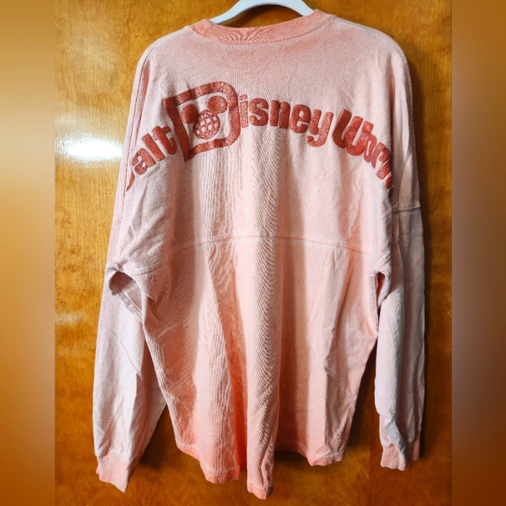 Walt Disney World Parks Spirit Jersey